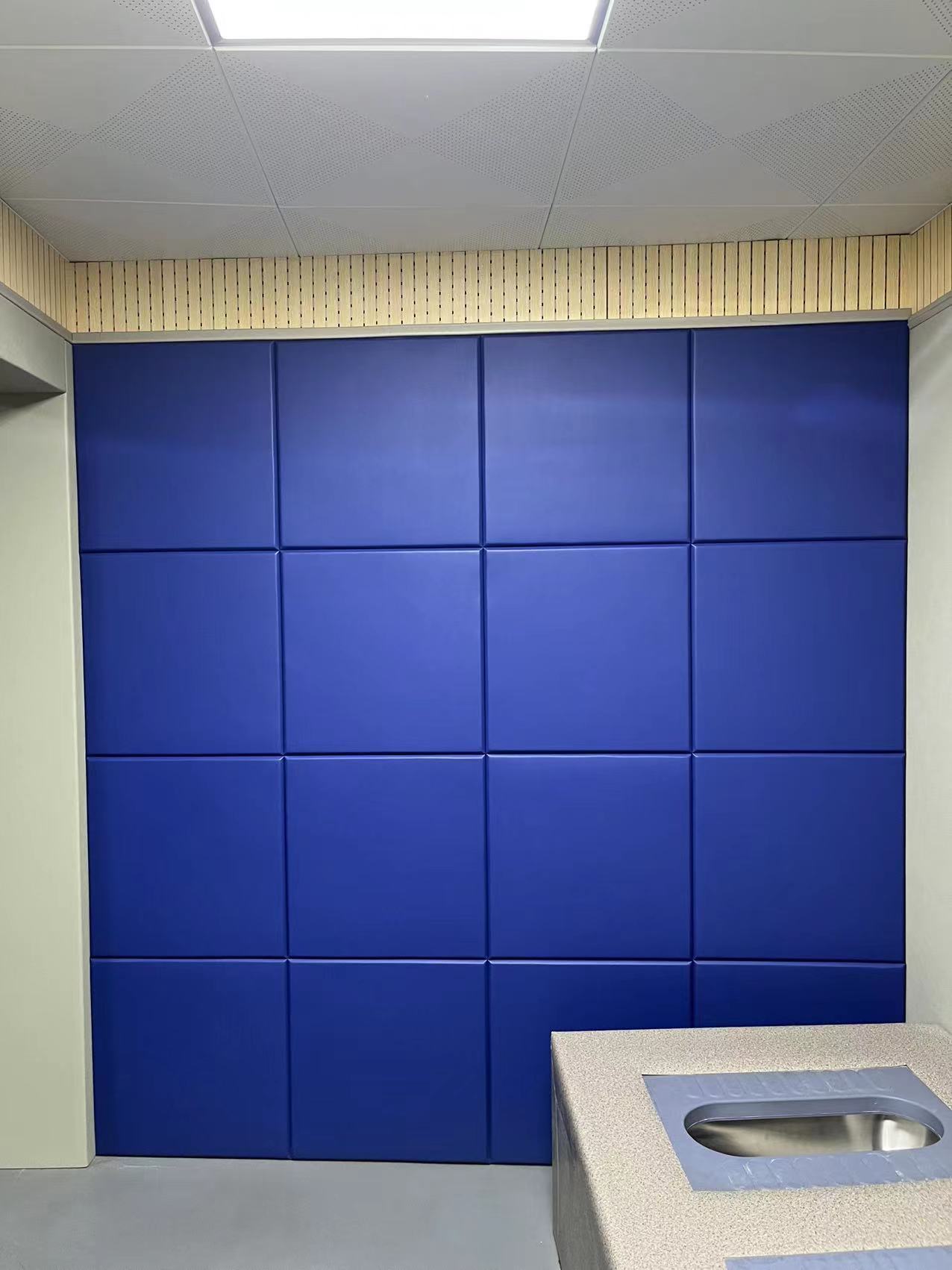 anti collision softpack sample room — acoustic panel photo